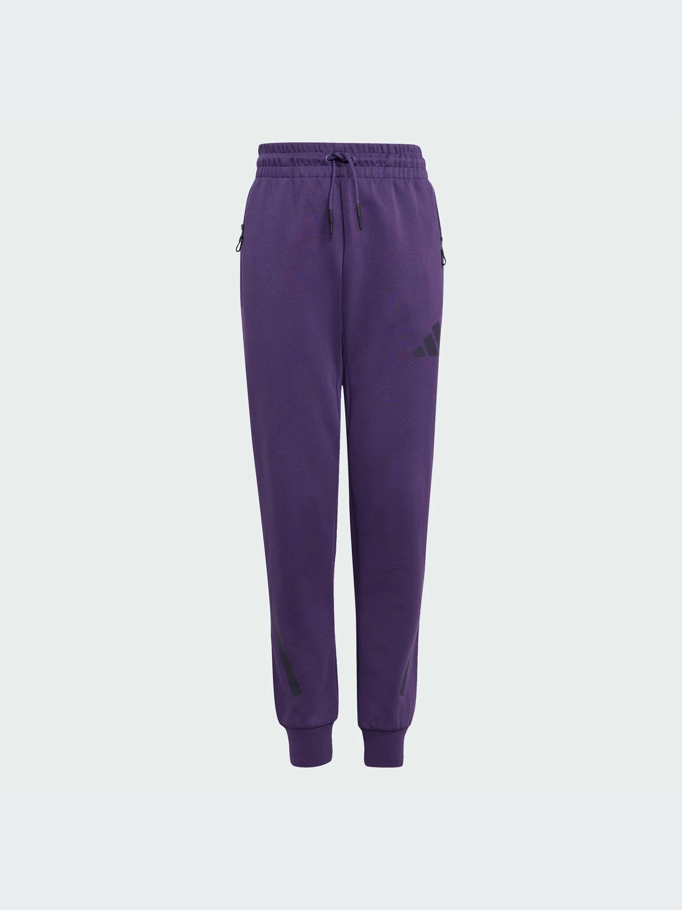 Брюки Adidas ZNE модель JW2429-KZ Брюки Adidas ZNE модель JW2429-KZ Фото