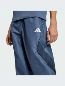 Брюки Adidas модель JZ6433-KZ Фото
