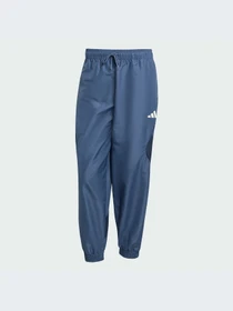 Брюки Adidas модель JZ6433-KZ Фото