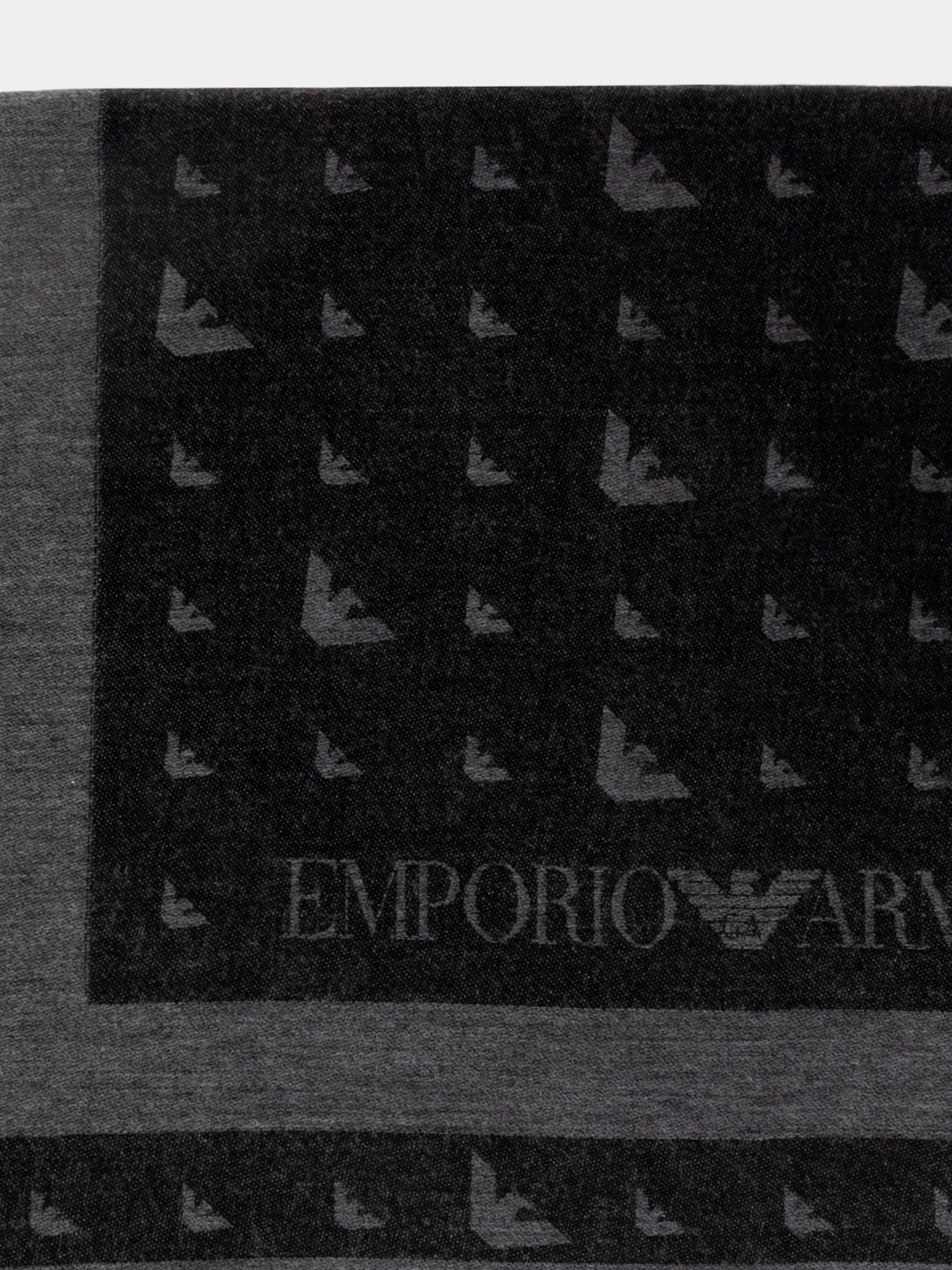 Шарфы и платки Emporio Armani модель EM003763-AF19809-F8165 Шарфы и платки Emporio Armani модель EM003763-AF19809-F8165 Фото