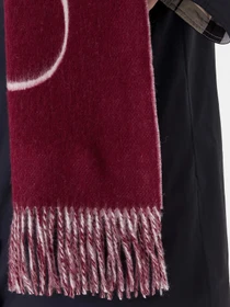 Шарфы и платки Tommy Hilfiger модель AW0AW17786-VLP Фото
