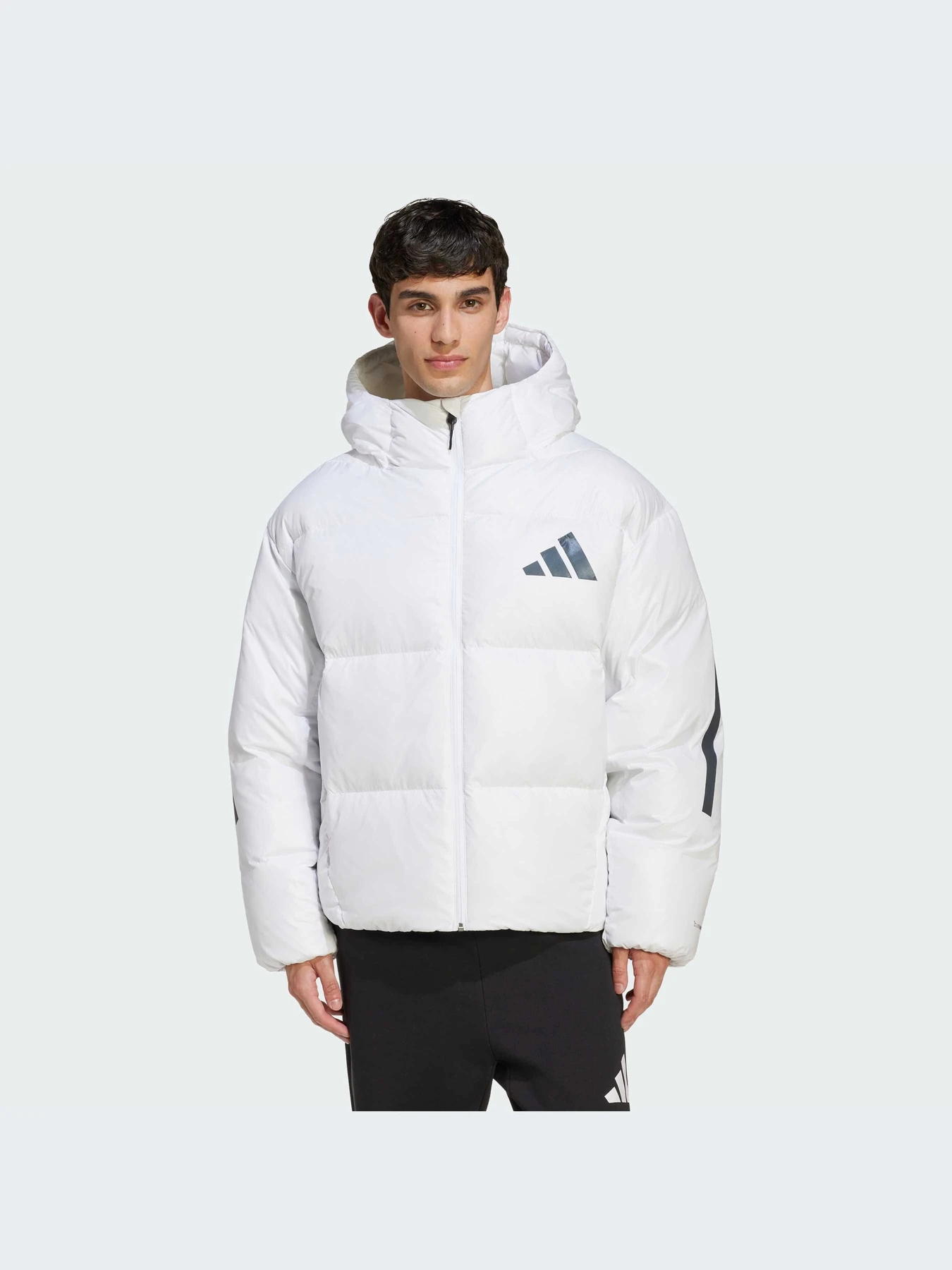 Куртки и дубленки Adidas ZNE модель JX0559-KZ Куртки и дубленки Adidas ZNE модель JX0559-KZ Фото