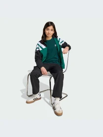 Худи и свитшоты Adidas модель JW9126-KZ Фото