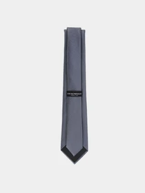 Галстуки и воротнички Emporio Armani модель EM001344-TE16525-F8109 Фото