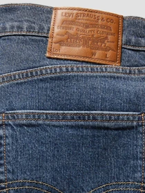 Шорты Levi's модель 39864;0137 Фото