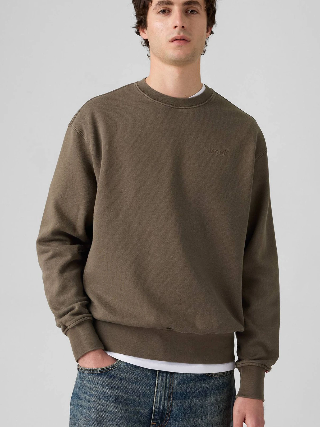 Худи и свитшоты Levi's модель A9244;0034 Фото