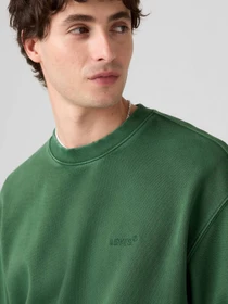 Худи и свитшоты Levi's модель A9244;0036 Фото