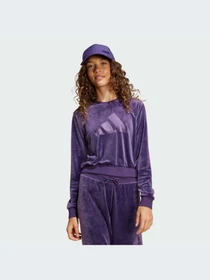 Худи и свитшоты Adidas модель JW2437-KZ Фото