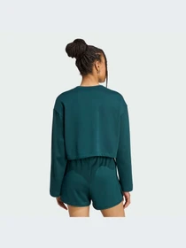 Худи и свитшоты Adidas модель JW6092-KZ Фото