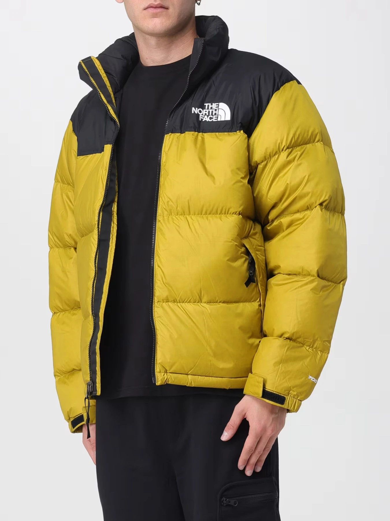 Куртки и дубленки The North Face модель NF0A3C8DDCO1 Куртки и дубленки The North Face модель NF0A3C8DDCO1 Фото