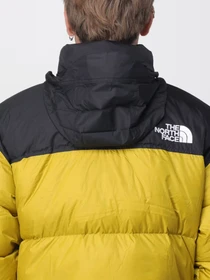 Куртки и дубленки The North Face модель NF0A3C8DDCO1 Фото