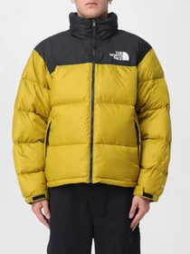 Куртки и дубленки The North Face модель NF0A3C8DDCO1 Фото