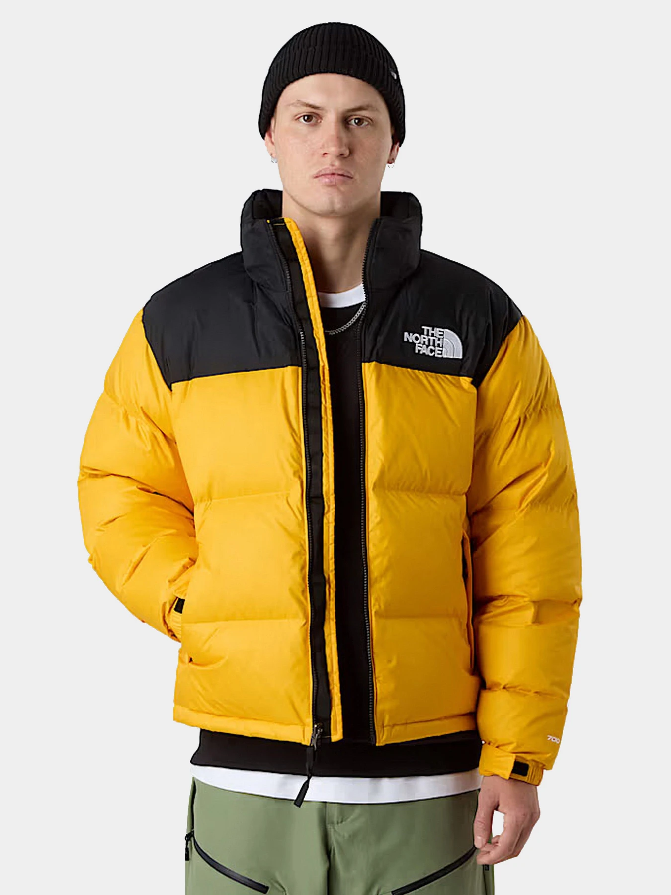 Куртки и дубленки The North Face модель NF0A3C8DGO81 Куртки и дубленки The North Face модель NF0A3C8DGO81 Фото