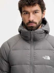 Куртки и дубленки The North Face модель NF0A5GIE0UZ1 Фото