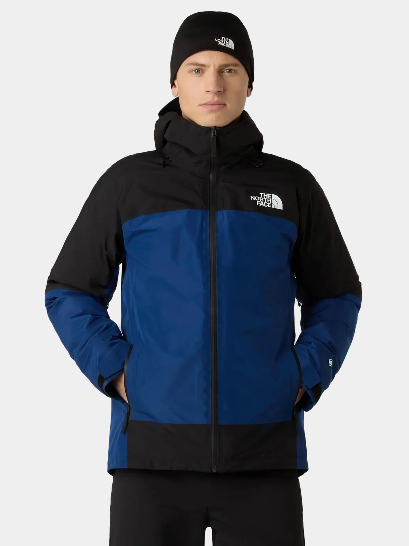 Куртки и дубленки The North Face модель NF0A84FCF1T1 Куртки и дубленки The North Face модель NF0A84FCF1T1 Фото