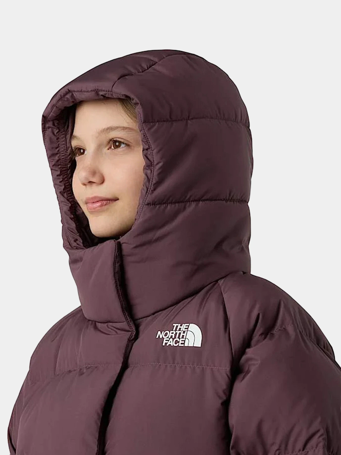 Куртки и дубленки The North Face модель NF0A88UDBQ71 Куртки и дубленки The North Face модель NF0A88UDBQ71 Фото