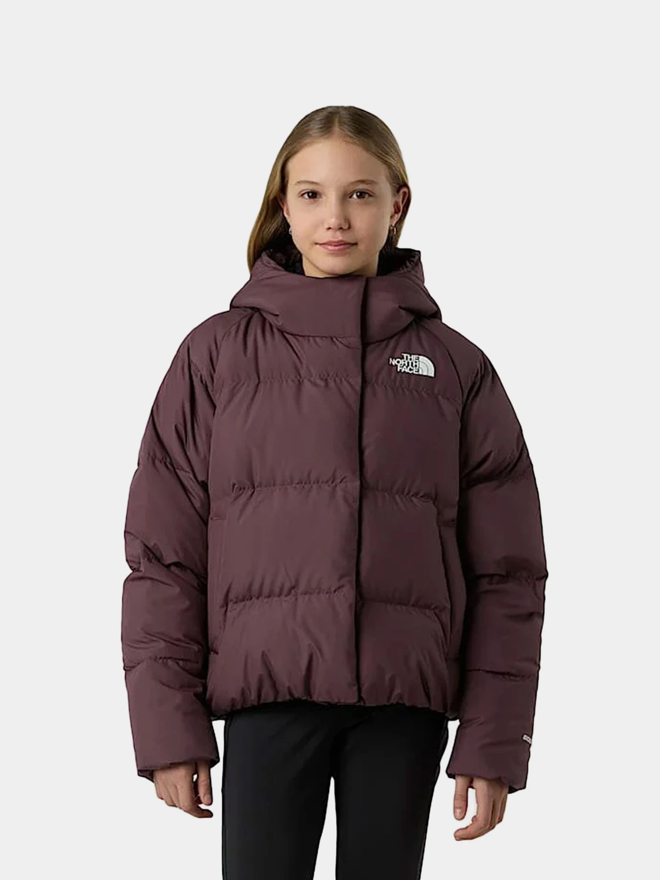 Куртки и дубленки The North Face модель NF0A88UDBQ71 Куртки и дубленки The North Face модель NF0A88UDBQ71 Фото