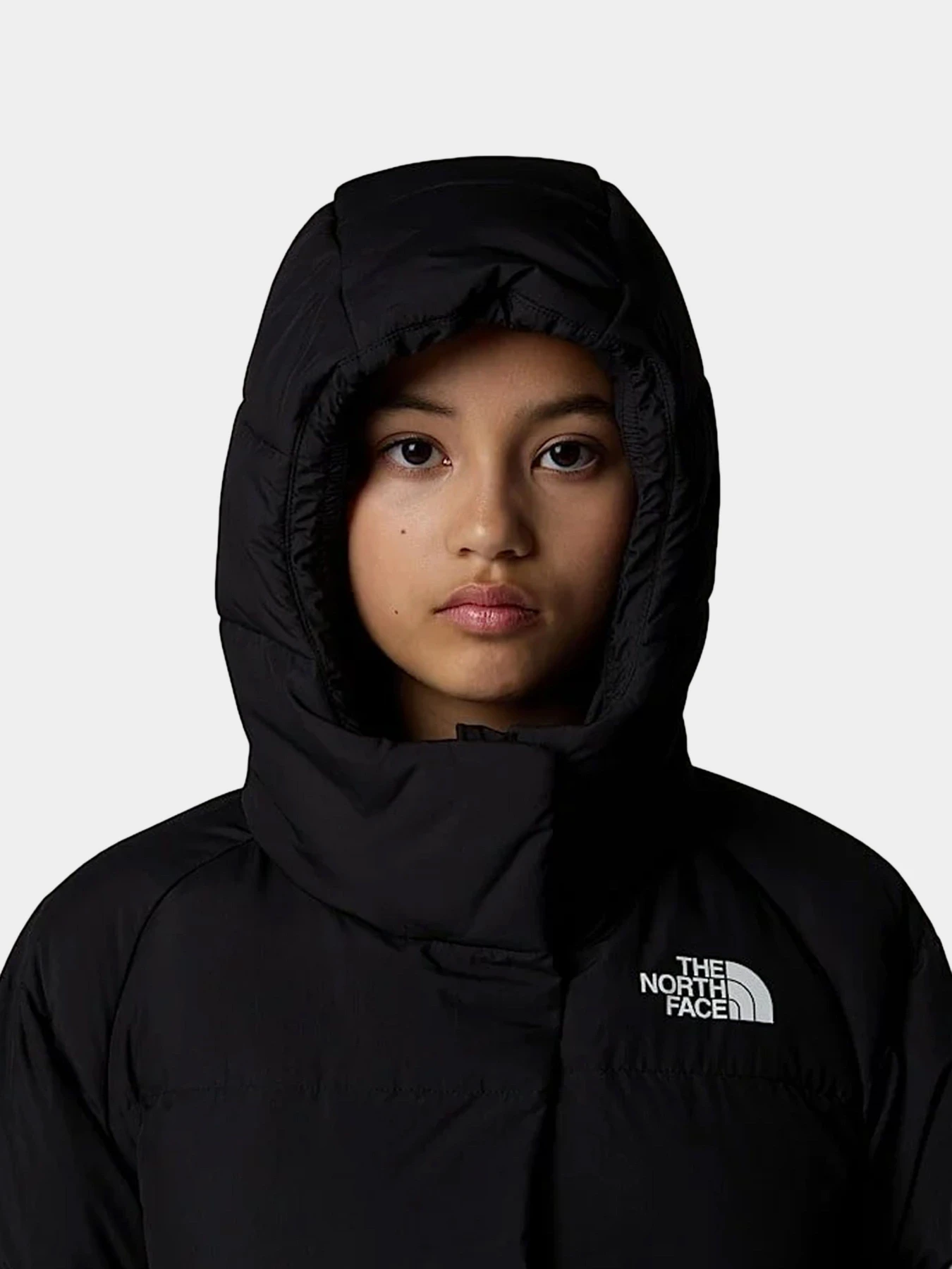 Куртки и дубленки The North Face модель NF0A88UDJK31 Куртки и дубленки The North Face модель NF0A88UDJK31 Фото