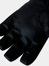 Перчатки и варежки The North Face модель NF0A89QGJK31 Фото