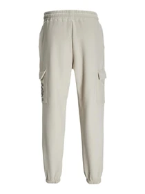 Брюки JACK & JONES модель 12258481_Moonbeam Фото