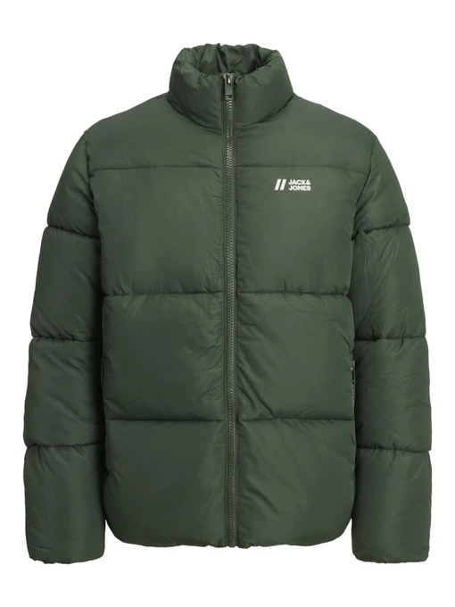 Куртки и дубленки JACK & JONES модель 12238745_MountainView Фото