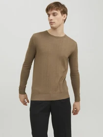 Худи и свитшоты JACK & JONES модель 12208364_Otter Фото