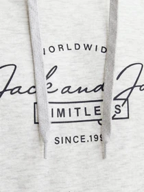 Худи и свитшоты JACK & JONES модель 12256838_WHITEMELANGE Фото