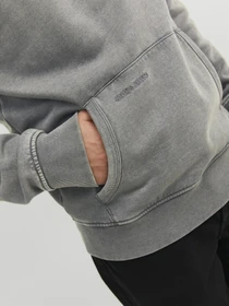 Худи и свитшоты JACK & JONES модель 12234739_SedonaSage Фото