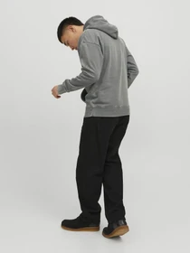 Худи и свитшоты JACK & JONES модель 12234739_SedonaSage Фото