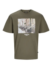 Футболкалар мен поло жейделер JACK & JONES үлгі 12263723_Seaturtle Фото
