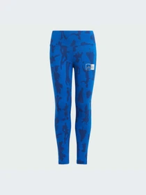 Брюки Adidas модель IT8789-KZ Фото