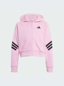 Худи и свитшоты Adidas модель JD1300-KZ Фото