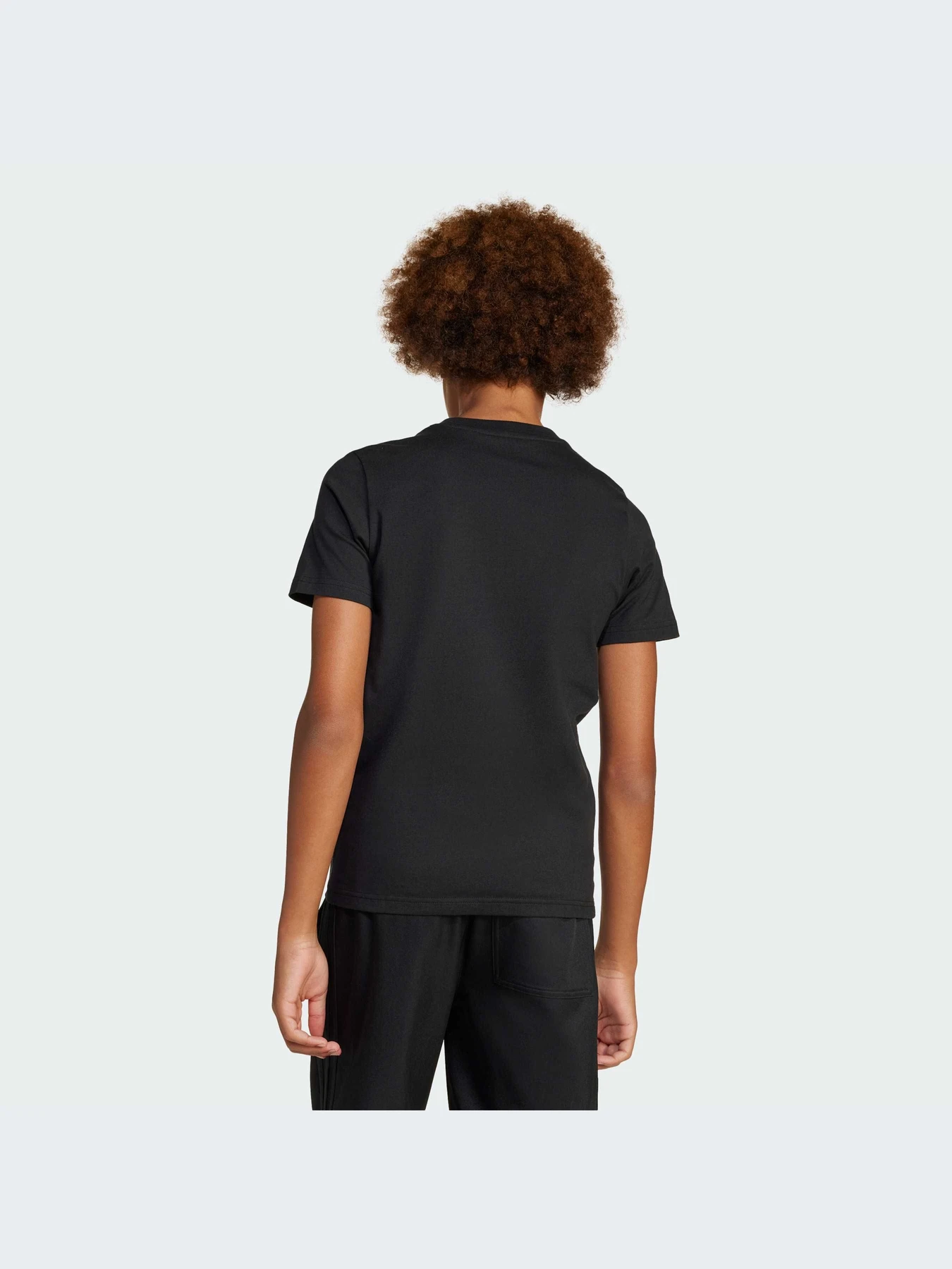 Футболки и поло Adidas модель JM3553-KZ Футболки и поло Adidas модель JM3553-KZ Фото