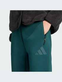 Брюки Adidas ZNE модель JW7738-KZ Фото