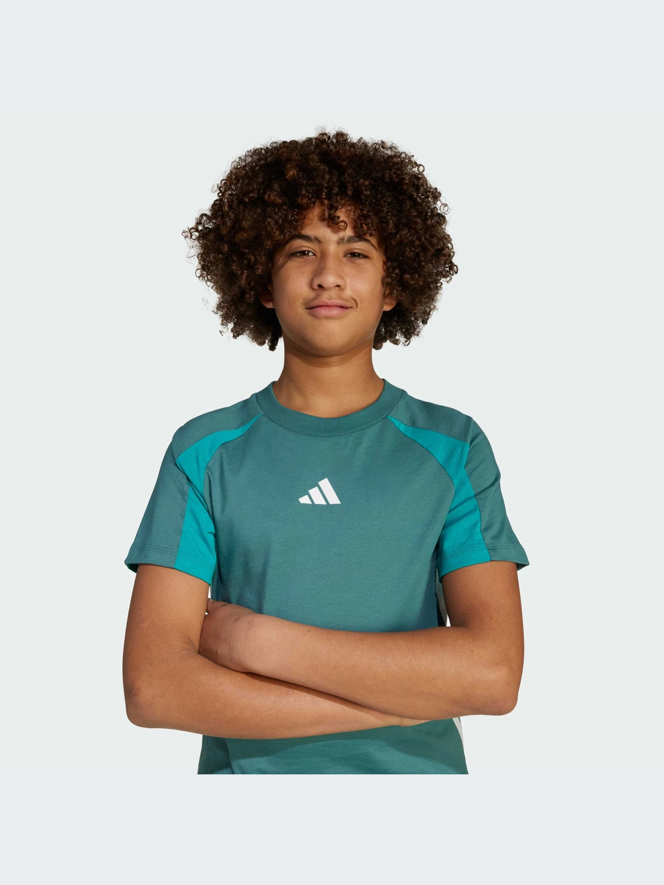 Футболки и поло Adidas модель JW4966-KZ Футболки и поло Adidas модель JW4966-KZ Фото