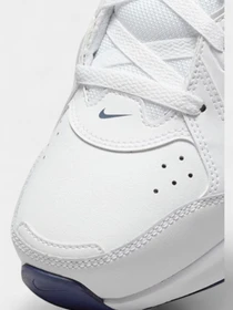 Кроссовки NIKE NIKE DEFYALLDAY модель DJ1196-100 Фото
