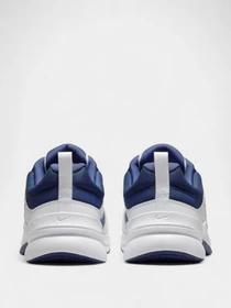 Кроссовки NIKE NIKE DEFYALLDAY модель DJ1196-100 Фото