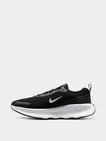 Кроссовки NIKE Nike Promina модель FV5285-002 Фото