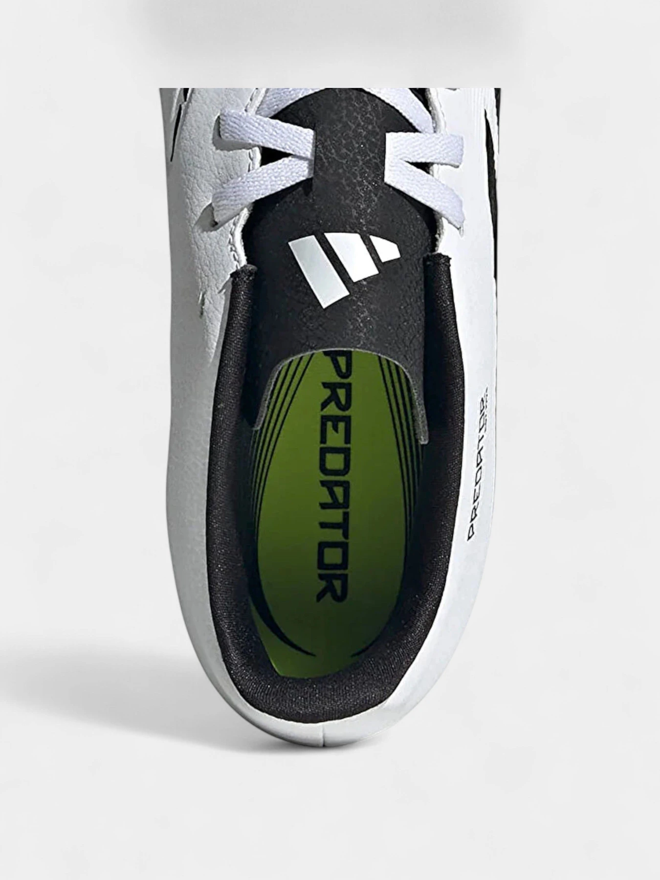 Кроссовки Adidas PREDATOR CLUB TF модель JH8854 Кроссовки Adidas PREDATOR CLUB TF модель JH8854 Фото