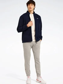 Худи и свитшоты Reebok ID REEBOK-F FLEECE FZ модель 101972099 Фото