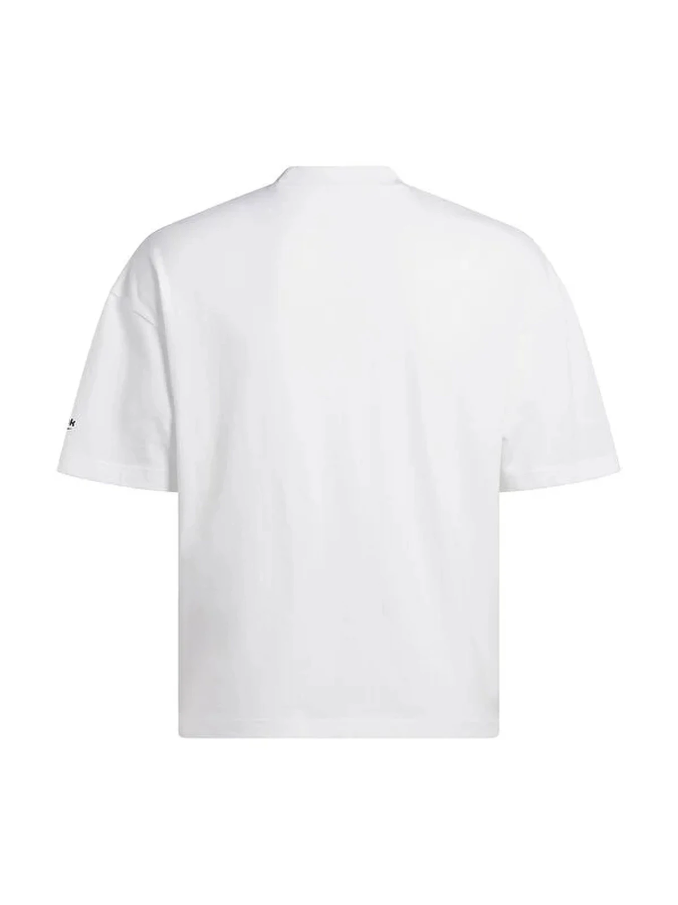 Футболки и поло Reebok PAUL SS TEE модель 102237948 Футболки и поло Reebok PAUL SS TEE модель 102237948 Фото