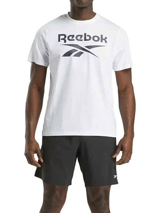 Футболки и поло Reebok CHAD BIG LOGO CREW NECK S модель 102247803 Фото