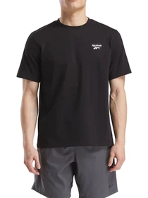 Футболки и поло Reebok CODY SL CREW NECK SS TEE модель 102247817 Фото