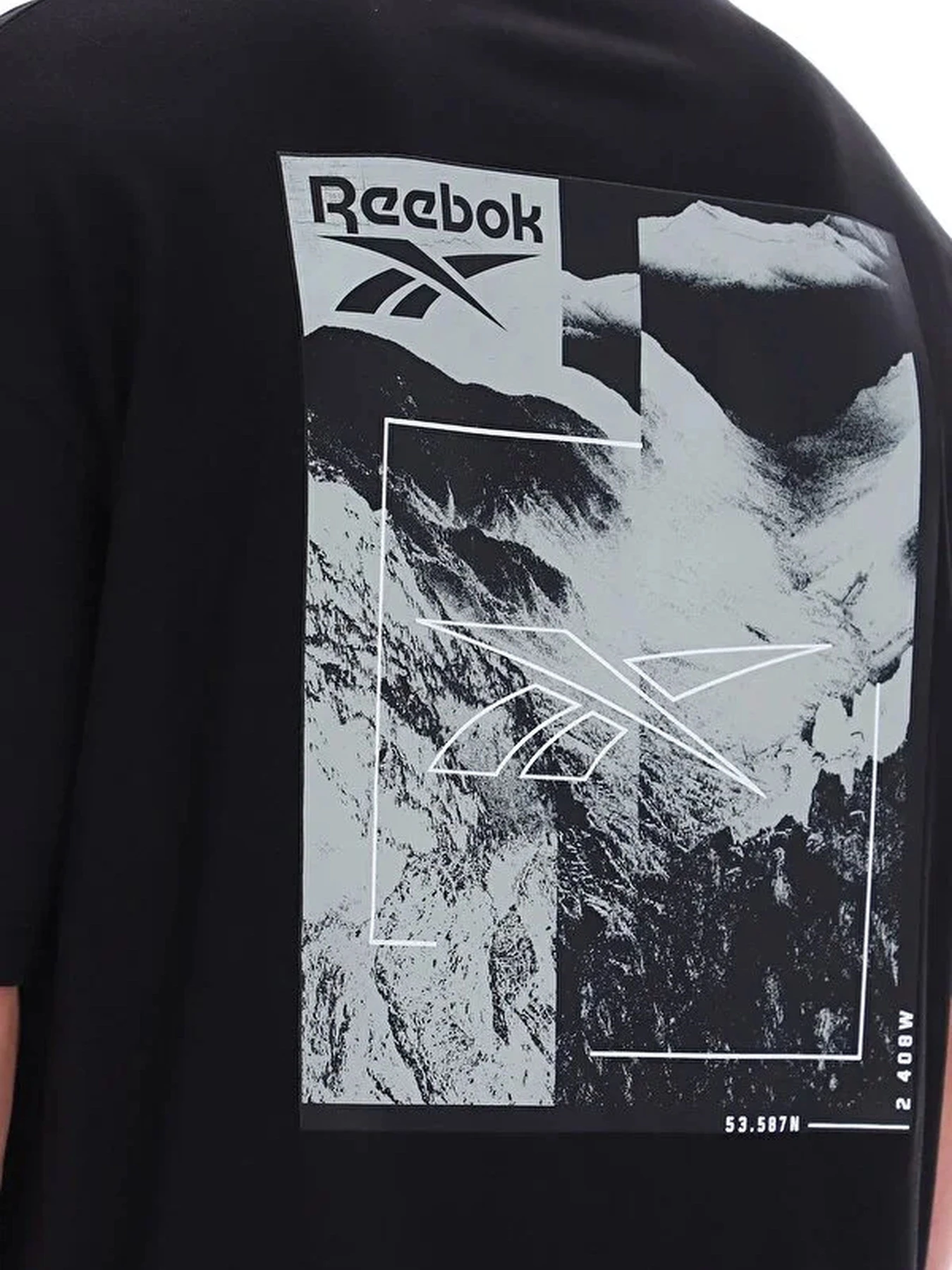 Футболки и поло Reebok MELVIN MOUNTAIN SS TEE модель 102247891 Футболки и поло Reebok MELVIN MOUNTAIN SS TEE модель 102247891 Фото