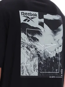 Футболки и поло Reebok MELVIN MOUNTAIN SS TEE модель 102247891 Фото
