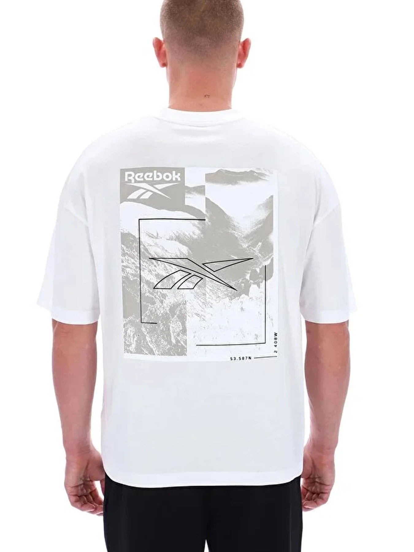 Футболки и поло Reebok MELVIN MOUNTAIN SS TEE модель 102247897 Футболки и поло Reebok MELVIN MOUNTAIN SS TEE модель 102247897 Фото
