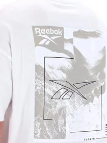 Футболки и поло Reebok MELVIN MOUNTAIN SS TEE модель 102247897 Фото
