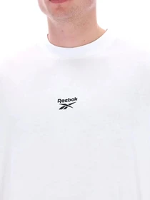 Футболки и поло Reebok MELVIN MOUNTAIN SS TEE модель 102247897 Фото