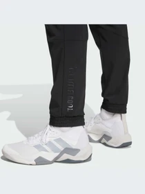 Брюки Adidas модель JM8135-KZ Фото