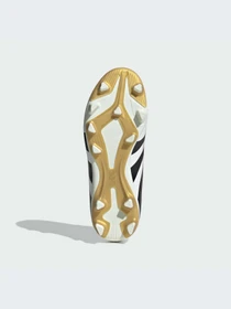 Кроссовки Adidas Predator модель JH8870-KZ Фото